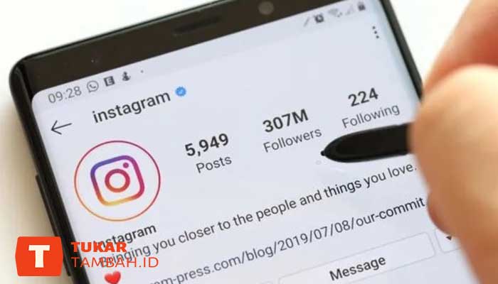 Cara Mengembalikan Followers dengan Menghubungi Instagram